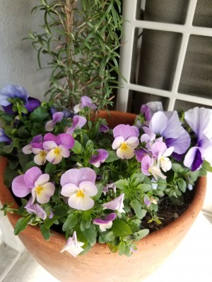 20190313_155640